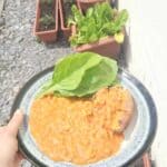 Super Cheap, Quick & Low Syn Slimming World Friendly Fish, Baked Bean & Mayflower Curry Recipe - Serves 2