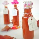 Homemade Lush Tomato Ketchup Gift Recipe - Christmas Idea