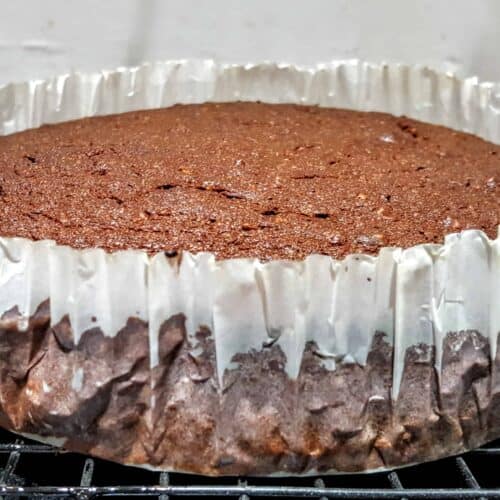 Chocolate Sponge: Birthday Cake Show Shopper Part 3