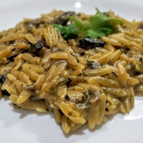 Syn Free Slimming World Mushroom Orzo Risotto Recipe