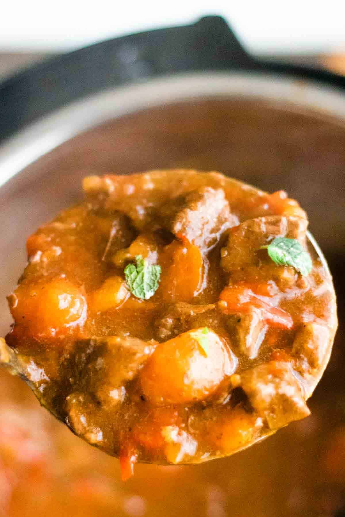 Ladle full of chunky beef and vegetable stew