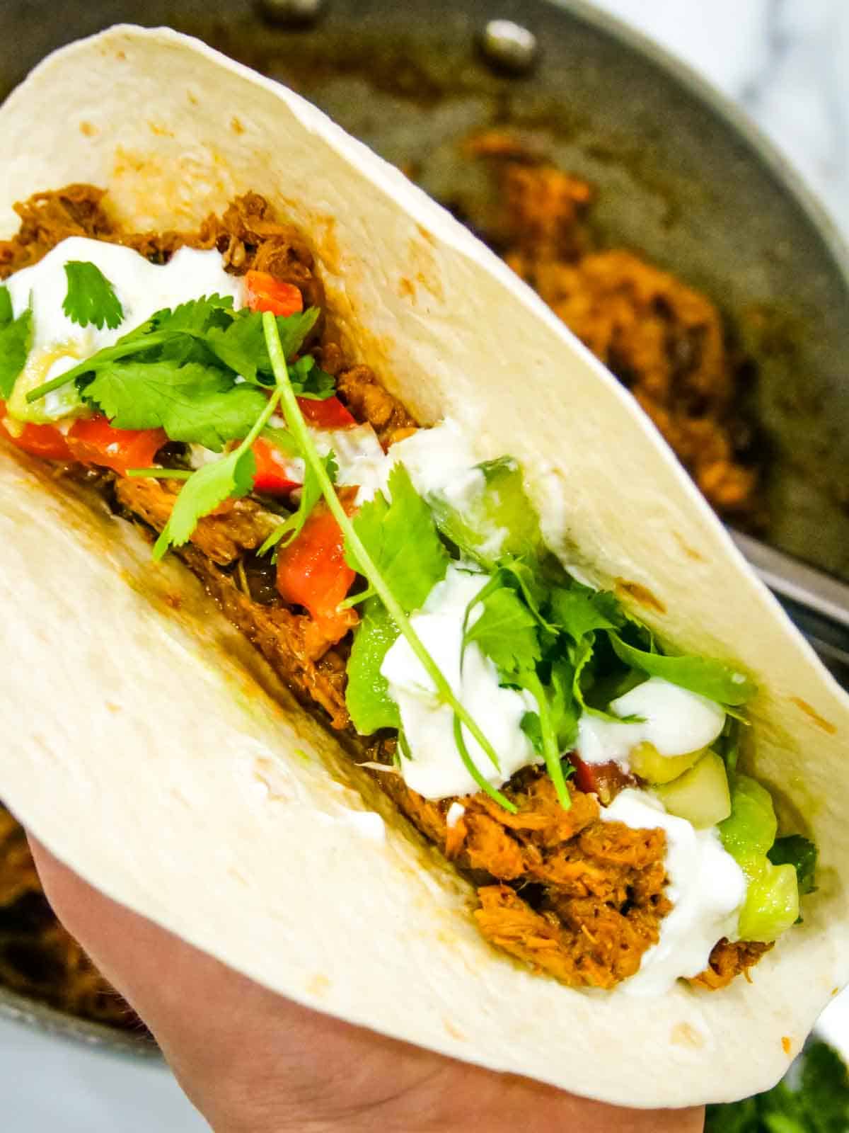 Close up someone holding of a tortilla wrap full of pork and black beans carnitas