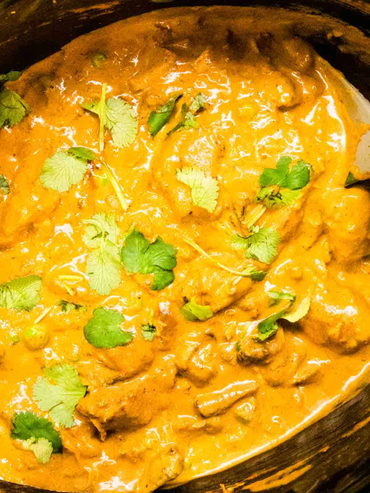 Chicken Curry Recipe for De'Longhi MultiFry 