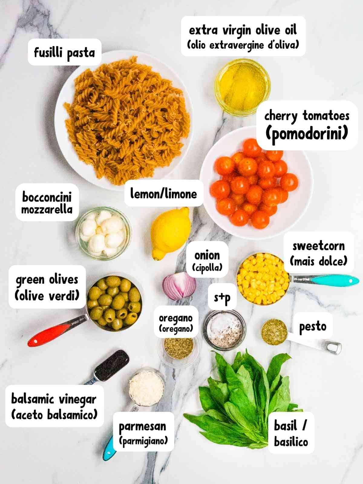 labelled ingredients for heathy Italian cold pasta salad