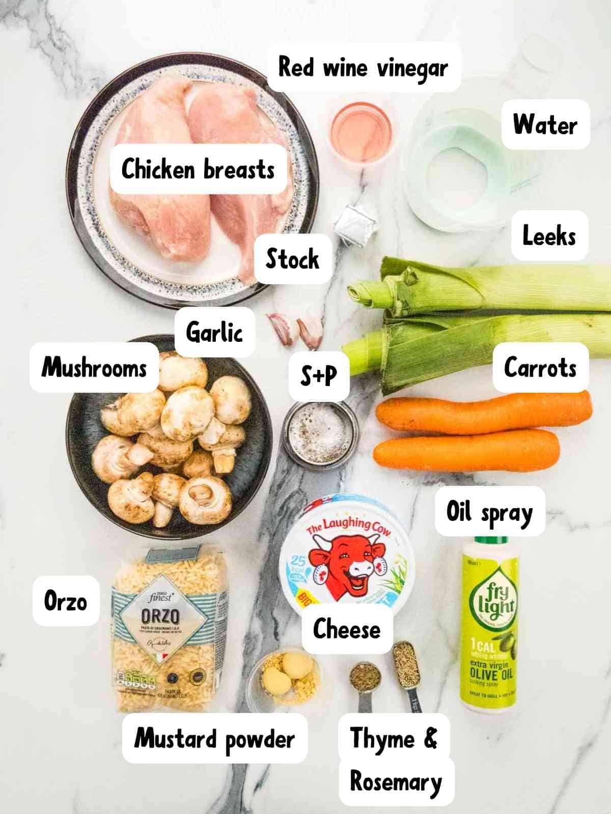 labelled ingredients needed for healthy chicken orzo with cheese